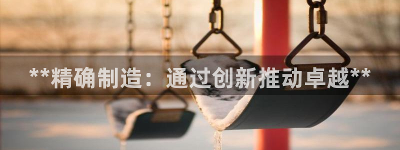 彩神vlll(中国)百度百科：**精确制造：通过创新推动卓越**