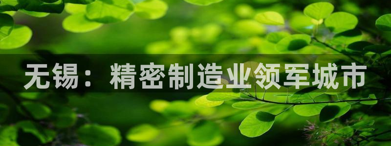 彩神vll官网-最新版app下载：无锡：精密制造业领军城市