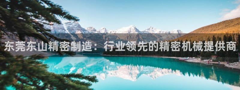 彩神这个平台是真的吗：东莞东山精密制造：行业领先的精密机械提供商