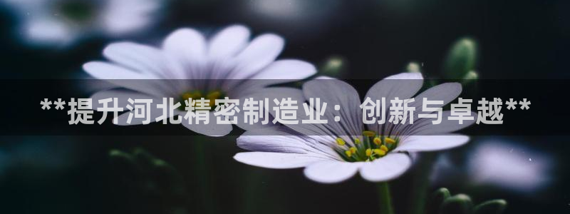 彩神平台可以破解吗：**提升河北精密制造业：创新与卓越**
