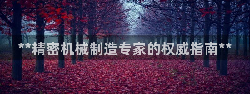 彩神viii官网：**精密机械制造专家的权威指南**