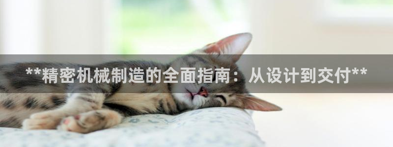 彩神网合法吗：**精密机械制造的全面指南：从设计到交付**