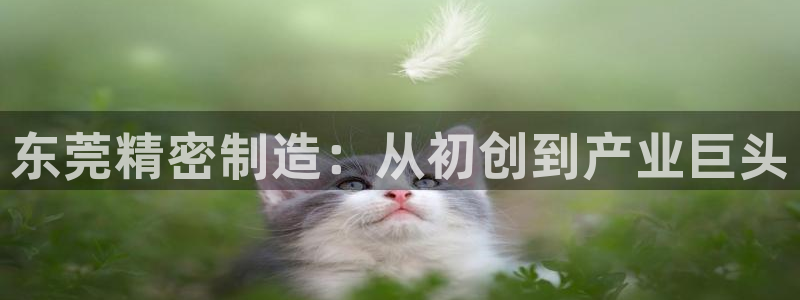 彩神iv是正规平台吗?：东莞精密制造：从初创到产业巨头