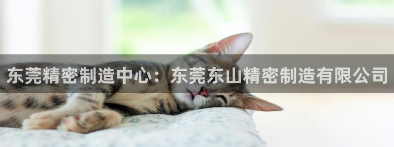 彩神V8平台：东莞精密制造中心：东莞东山精密制造有限公司