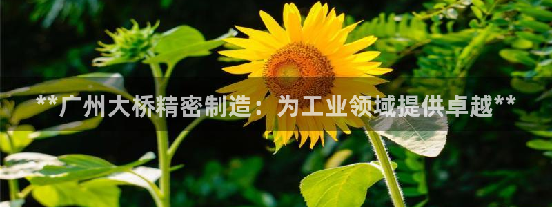 彩神v1破解器：**广州大桥精密制造：为工业领域提供卓越**