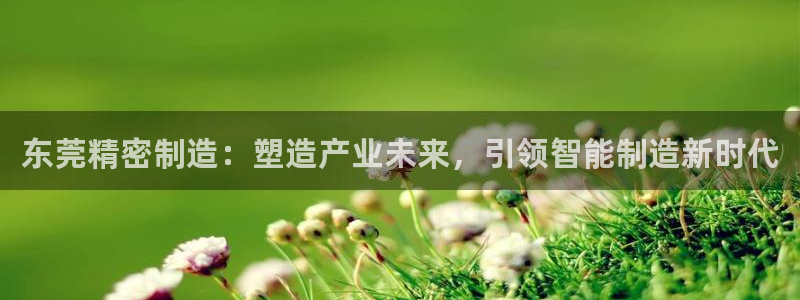 彩神vip购彩：东莞精密制造：塑造产业未来，引领智能制造新时代