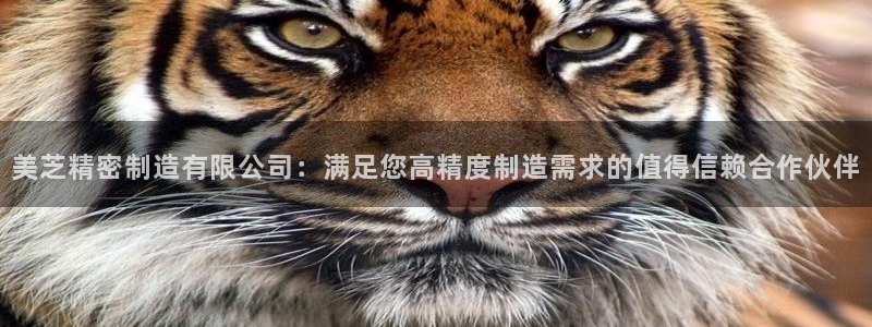 彩神争霸老平台：美芝精密制造有限公司：满足您高精度制造需求的值得信赖合作伙伴