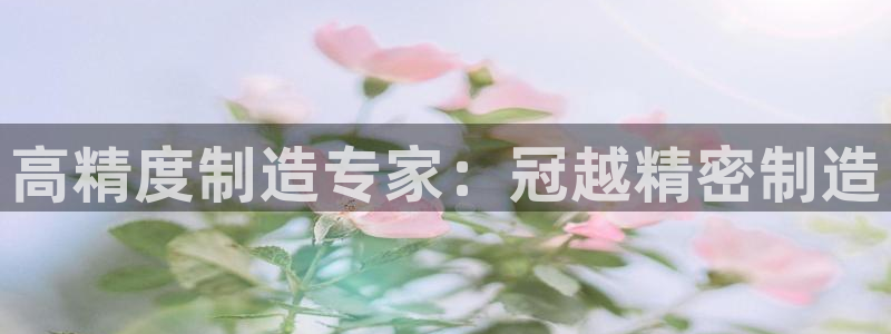 下载彩神v8：高精度制造专家：冠越精密制造