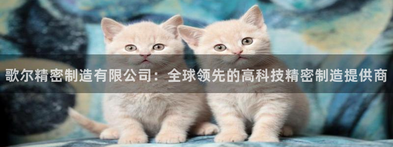 彩神官方网站登录是多少：歌尔精密制造有限公司：全球领先的高科技精密制造提供商