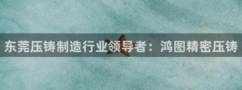 彩神是什么平台：东莞压铸制造行业领导者：鸿图精密压铸