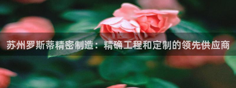 彩神平台：苏州罗斯蒂精密制造：精确工程和定制的领先供应商