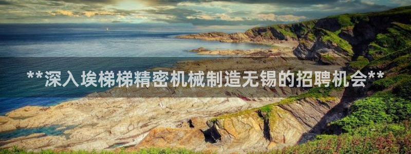 彩神vi官网版：**深入埃梯梯精密机械制造无锡的招聘机会**