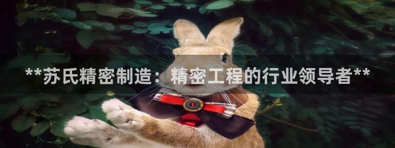 彩神ii官方网：**苏氏精密制造：精密工程的行业领导者**