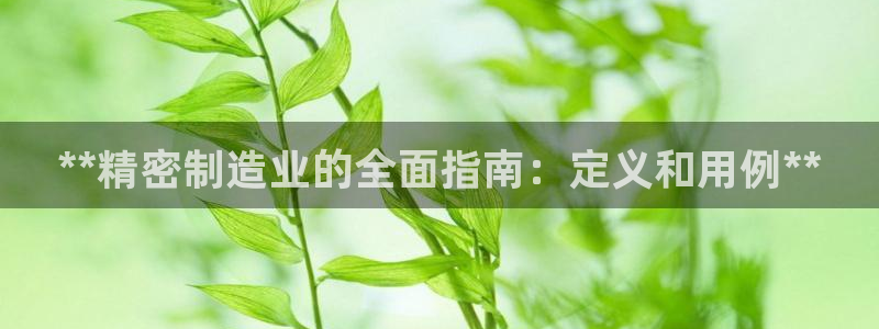 彩神vllⅰ购彩大厅：**精密制造业的全面指南：定义和用例**