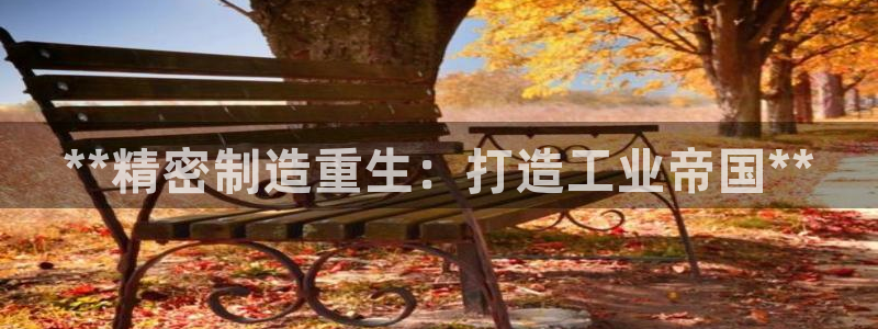 大发彩神争：**精密制造重生：打造工业帝国**