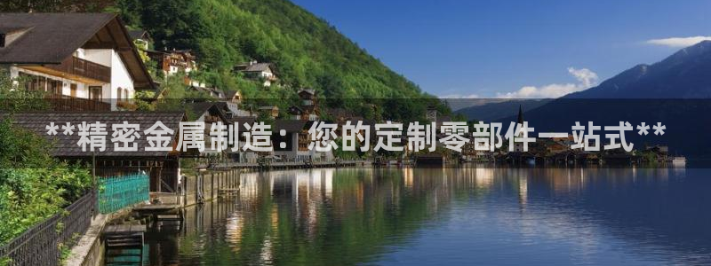 彩神v8iii：**精密金属制造：您的定制零部件一站式**