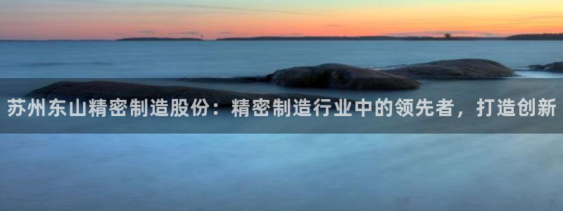彩神大发黑平台：苏州东山精密制造股份：精密制造行业中的领先者，打造创新