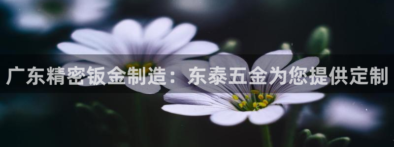 彩神8彩平台：广东精密钣金制造：东泰五金为您提供定制