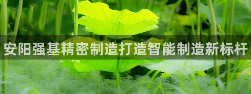 彩神vi争霸官网：安阳强基精密制造打造智能制造新标杆