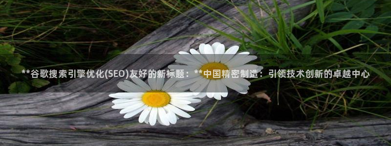 彩神官方邀请码是多少：**谷歌搜索引擎优化(SEO)友好的新标题：**中国精密制造：引领技术创新的卓越中心