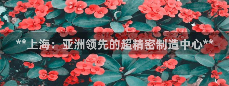 彩神vip购彩大厅下载