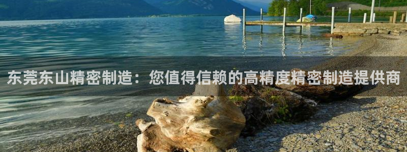 下载彩神v8：东莞东山精密制造：您值得信赖的高精度精密制造提供商