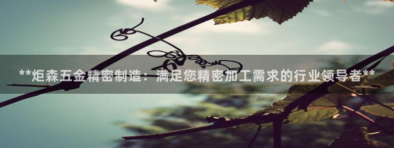彩神velcome购彩大厅：**炬森五金精密制造：满足您精密加工需求的行业领导者**