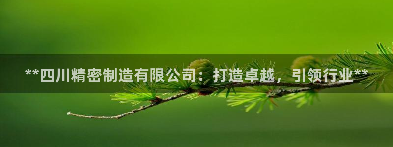 彩神V8有限公司：**四川精密制造有限公司：打造卓越，引领行业**