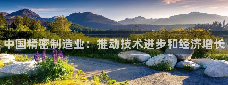 彩神大发黑平台：中国精密制造业：推动技术进步和经济增长