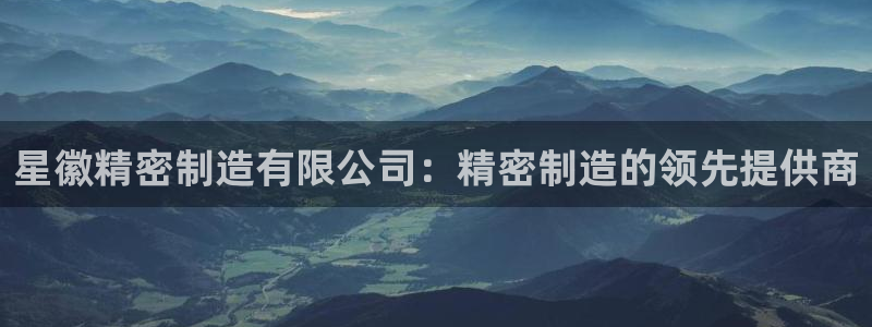 彩神V集团有限公司