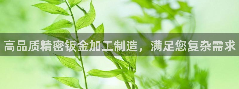 彩神iv能赚钱吗：高品质精密钣金加工制造，满足您复杂需求