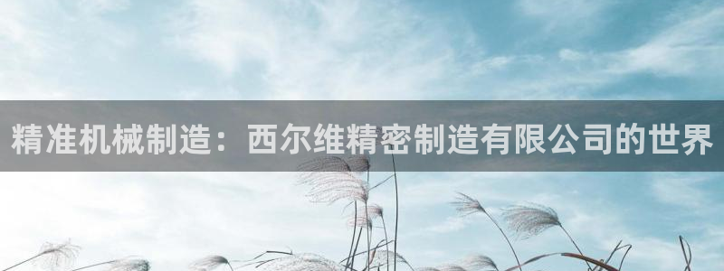 彩神iv能赚钱吗：精准机械制造：西尔维精密制造有限公司的世界