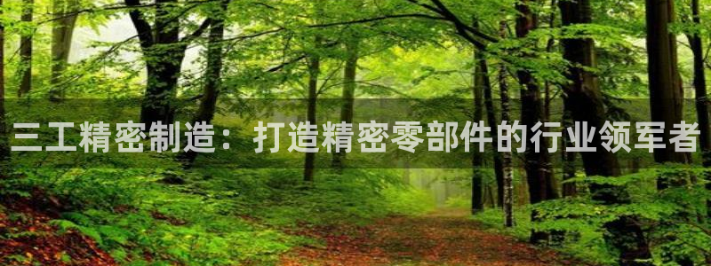 彩神v8官网版：三工精密制造：打造精密零部件的行业领军者