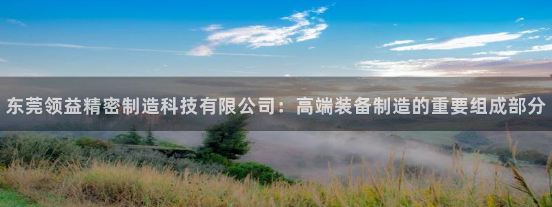 彩神赢了钱登录不上去：东莞领益精密制造科技有限公司：高端装备制造的重要组成部分
