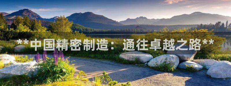 彩神ix可靠吗：**中国精密制造：通往卓越之路**