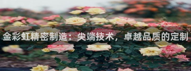 彩神8软件下载：金彩虹精密制造：尖端技术，卓越品质的定制