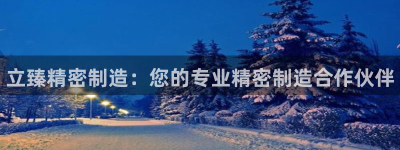 彩神购彩-购彩大厅入口下载：立臻精密制造：您的专业精密制造合作伙伴