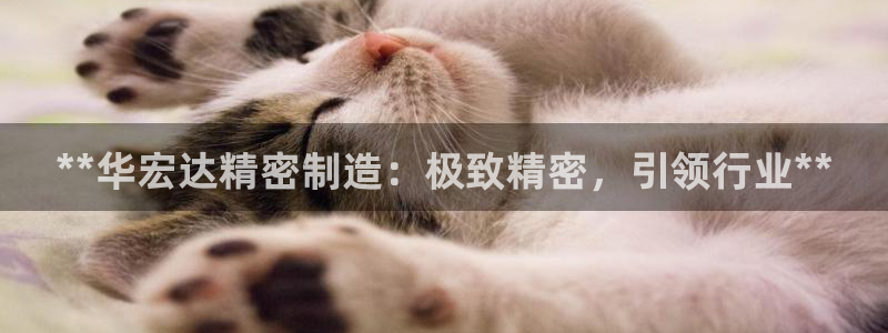 彩神v8平台正规吗：**华宏达精密制造：极致精密，引领行业**