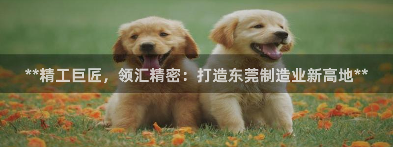 彩神大发cp：**精工巨匠，领汇精密：打造东莞制造业新高地**