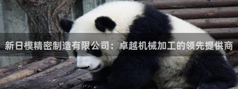 下载彩神通关注金码：新日模精密制造有限公司：卓越机械加工的领先提供商