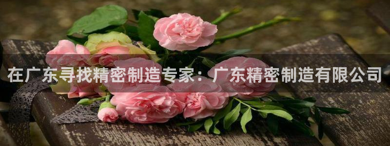彩神赢的钱是哪里来的：在广东寻找精密制造专家：广东精密制造有限公司