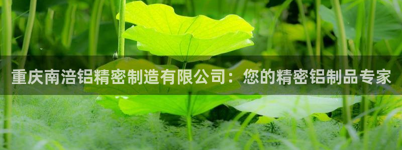 彩神是什么平台的游戏：重庆南涪铝精密制造有限公司：您的精密铝制品专家
