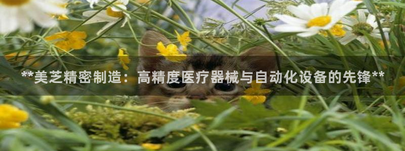 所有彩神购买首页都一样吗：**美芝精密制造：高精度医疗器械与自动化设备的先锋**