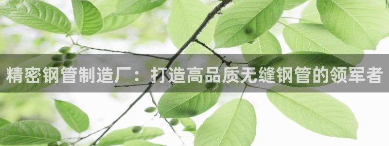 天天赢彩神：精密钢管制造厂：打造高品质无缝钢管的领军者