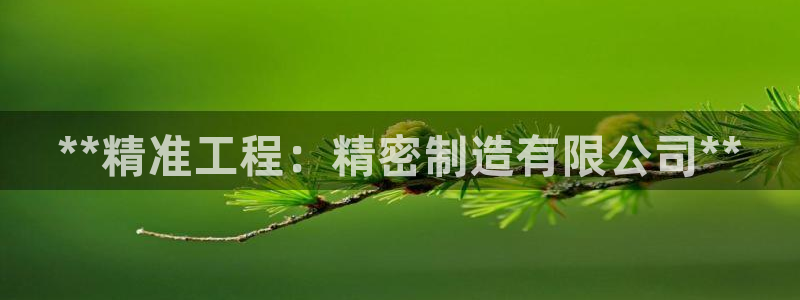 彩神邀请码:00-00-3267：**精准工程：精密制造有限公司**