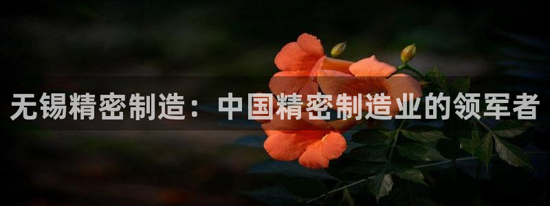 新版彩神v8登录教程：无锡精密制造：中国精密制造业的领军者