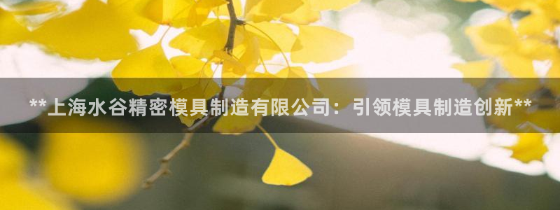 彩神v集团有限公司：**上海水谷精密模具制造有限公司：引领模具制造创新**