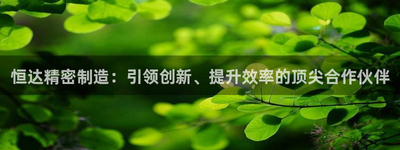 彩神Vii购彩-购彩大厅：恒达精密制造：引领创新、提升效率的顶尖合作伙伴