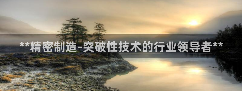 彩神viii下载安卓：**精密制造-突破性技术的行业领导者**