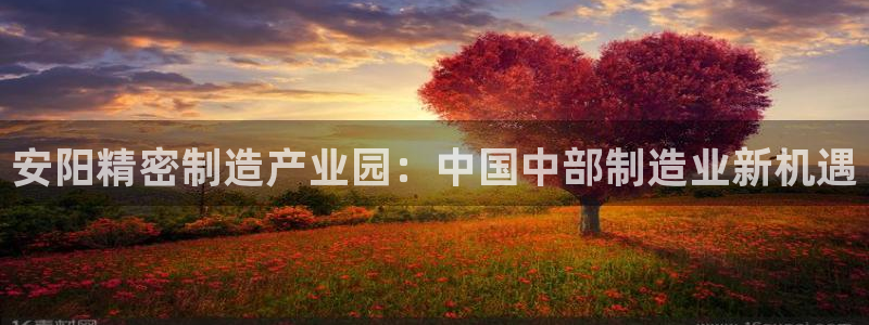 彩神是什么平台：安阳精密制造产业园：中国中部制造业新机遇